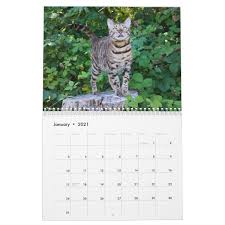 Missenell 2021 Calendar Zazzle Com In 2020 Custom Holiday Card Creative Calendar 2021 Calendar