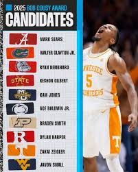 Tennessee Volunteers Men's Basketball Fans