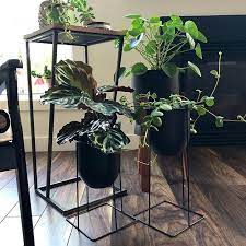 Unique Plant Stands Ideas For Your Home My Tasteful Space In 2021 Plant Stand Unique Plants Plant Stand Indoor