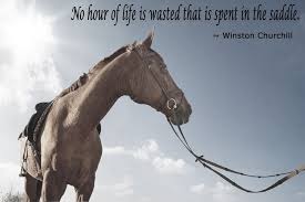 No Hour Of Life Is Wasted That Is Spent In The Saddle Winston Churchill Quotes Horses Revmediamarketing Horses Horse Love Horse Quotes