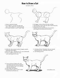 How To Draw A Cat Warrior Cat Drawings Cat Drawing Tutorial Animal Drawings