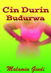 Free download yadda ake cin gindi mp3. Cin Durin Budurwa Adult Only 18 By Malamin Gindi Okadabooks
