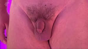 Naked attraction small penis