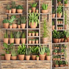 Plants Clay Pots 3d Model Turbosquid 1247209 In 2020 Plants Outdoor Garden Decor Indoor Plants