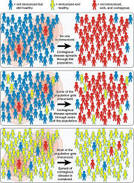 The Simple Math Of Herd Immunity Thoughtscapism