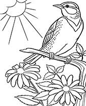 Download any of the 8 pages below to color from our new book: Bird Coloring Pages To Print Topcoloringpages Net
