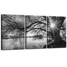 Sea Charm Canvas Prints Wall Art Black And White Tree In Sunrise Canvas Wall Art Lake Landscape Pic Landscape Pictures Black And White Tree Landscape Canvas
