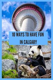 10 Ways To Have Fun In Calgary From A Visit To The Top Of The Calgary Tower To Seeing The Pandas Checking Out The Fun Things To Do Calgary Calgary Canada