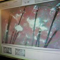 Some of the services you'll find at miracle's hair design™ are based on the specialties of our unique, individual team members: Miracle Hair Expert Bayan Lepas Pulau Pinang