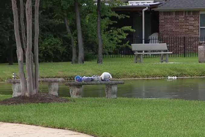 Boy, 2, and 74-Year-Old Woman Dead After Falling into Texas Pond