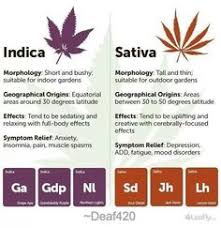 sativa vs indica chart