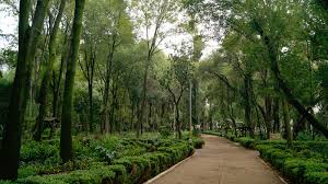 Image result for parque