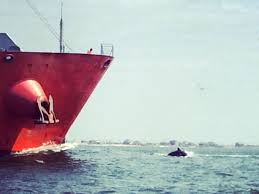 Maybe you would like to learn more about one of these? Galveston Harbor Dolphin Tours Houston Marketplace