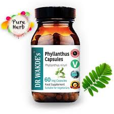 Image result for Phyllanthus engleri