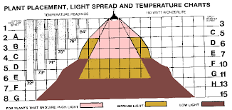 Wonderlite Spec Sheet