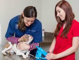We did not find results for: Amherst Emergency Vet Pet Emergency