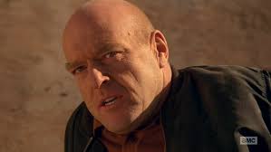 Wrapped in Shamelessness: The Fall of Walter White in Breaking Bad 5.14 by  Pearson Moore