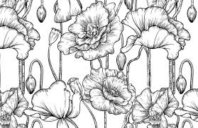 Save on home décor & more. Black White Illustrated Flowers Wallpaper Mural Hovia Au