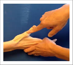 Image result for Lever Test