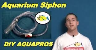 Step 1 connect hose to swivel piece (swivel hose barb adapter). How To Make Diy Siphon For Aquarium Youtube Aquarium Fish Tank Diy Aquarium
