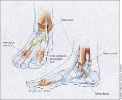 diagnostic and therapeutic injection of the ankle and foot