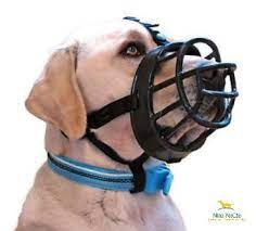 A device that is fitted over an animal's snout, often used to prevent biting or eating. Nina Pet Cao Focinheira Baskerville