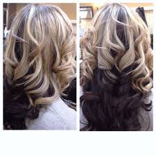 Light In Top Dark Underneath Dark Underneath Hair Hair Inspiration Color Colored Hair Tips