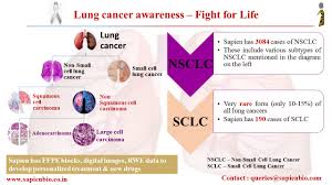 The lung cancer awareness month coalition is a group of leading international research and advocacy organizations that partner each november in an effort to improve outcomes for lung cancer patients across the world. Sapien Biosciences November Is A Lung Cancer Awareness Month