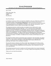Executive Resume Cover Letter Lovely Executive Director Resume Cover Letter Free Samples Cover Letter For Resume Executive Resume Good Resume Examples