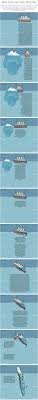 Graphic Follow The Titanic To The Bottom Titanesque Efficace Assurance Animaux Animaux