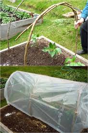 Be sure there are no trees, buildings,. 42 Best Diy Greenhouses With Great Tutorials And Plans A Piece Of Rainbow