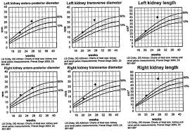 Jcm Free Full Text Fetal Renal Echogenicity Associated