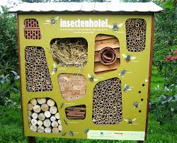 We did not find results for: Bee Hotels Do They Really Work Garden Myths