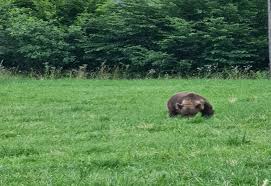 Retrouve tes résultats du bac 2021 ici, en cliquant sur ton académie. Ygs1uof4cpldxm