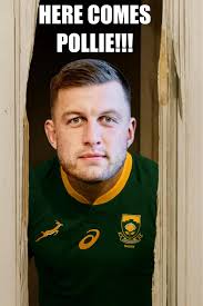 Here Comes Pollie!!! When in doubt have no fear! Pollie is here 😂