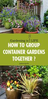 How To Group Container Gardens Together Container Gardening Vegetables Container Gardening Planting Succulents