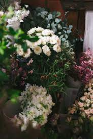 Maybe you would like to learn more about one of these? 13 Fl Wers Ideas Planting Flowers Beautiful Flowers Beautiful Blooms
