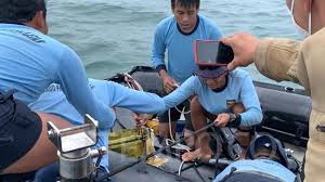 Pemesanan tiket online sriwijaya air dengan mudah dan cepat. Ea8bachwrzsosm