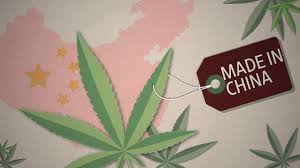 Is consuming cbd allowed or is it not allowed? China Says No To Marijuana But Lets Its Cannabis Industry Bloom Wsj