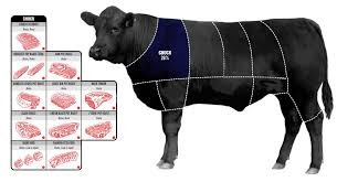 Beef Cut Explainer Business Insider