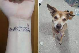 We did not find results for: 52 Beautiful And Heartwarming Tattoos Dedicated To Pets