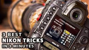 These Are The 3 Best Camera Settings For Shooting Wildlife Photos With A Nikon Dslr Video Best Camera For Photography Best Camera Dslr Photography Tips