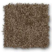 Looking into carpet trends 2021, it seems we will be expressing our creativity in bold, imaginative and innovative style. Berkshire Flooring Global Mid Century 24 X 24 Plush Cut Carpet Tile Reviews Wayfair