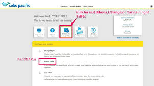 セブパシフィック航空のキャンセル方法は やったからわかった条件や返金などの疑問を説明するよ セブパシフィック セブ パシフィック