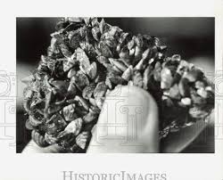 Image result for Gray 1990 Detroit Edison