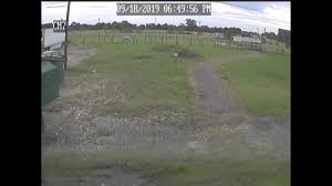 He also informed that a veterinarian prescribed antibiotics to the camel as a precaution. Police Report Surveillance Video Indicate Couple Involved In Camel Biting Incident May Not Have Been Entirely Truthful