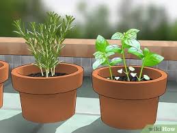 Click here to purchase tanglefoot and protect your organic fruit trees from all those nasty creepy crawlies! How To Keep Bugs Away With Pictures Wikihow