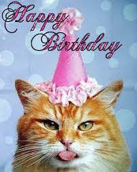 Animals Photo Happy B Day Happy Birthday Cat Happy Birthday Cards Happy Birthday Wishes Images