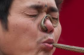 صيني مدخل حنش من نيفو أو خرجو من فمو Year Of The Snake Lunar New Crazy People