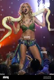 Image result for britney spears python